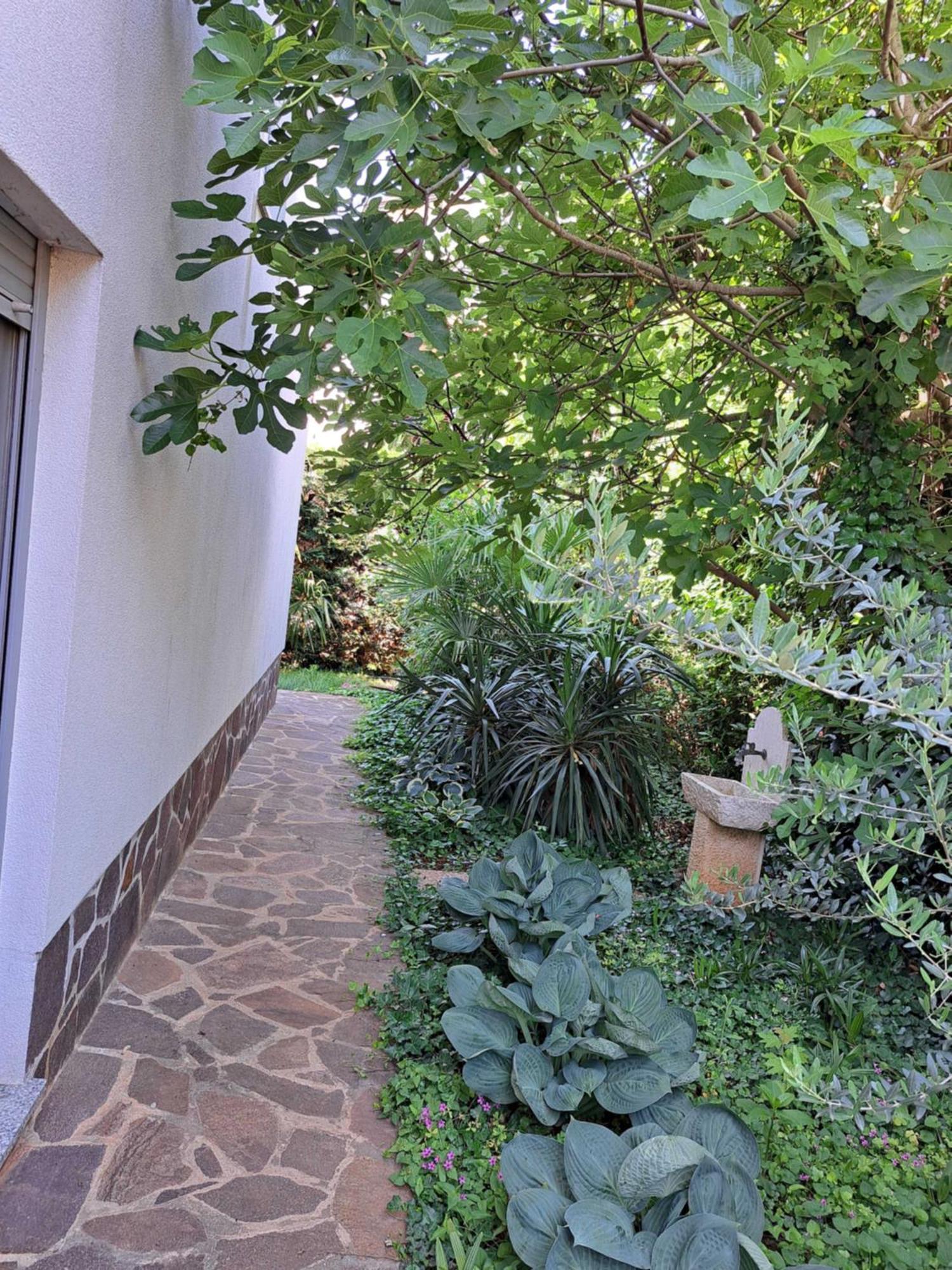 Apartment אומאג מראה חיצוני תמונה